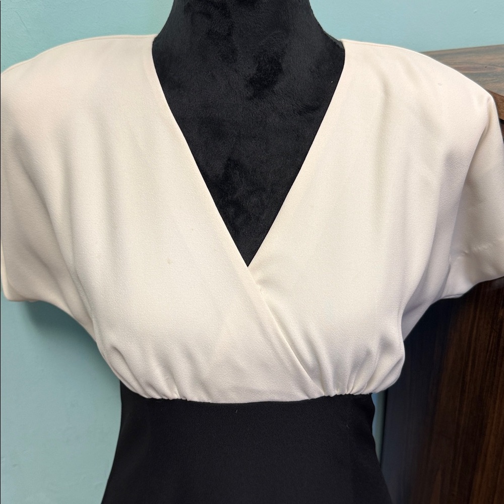 Chic Black and Cream Midi Dress - Picture 3 of 5